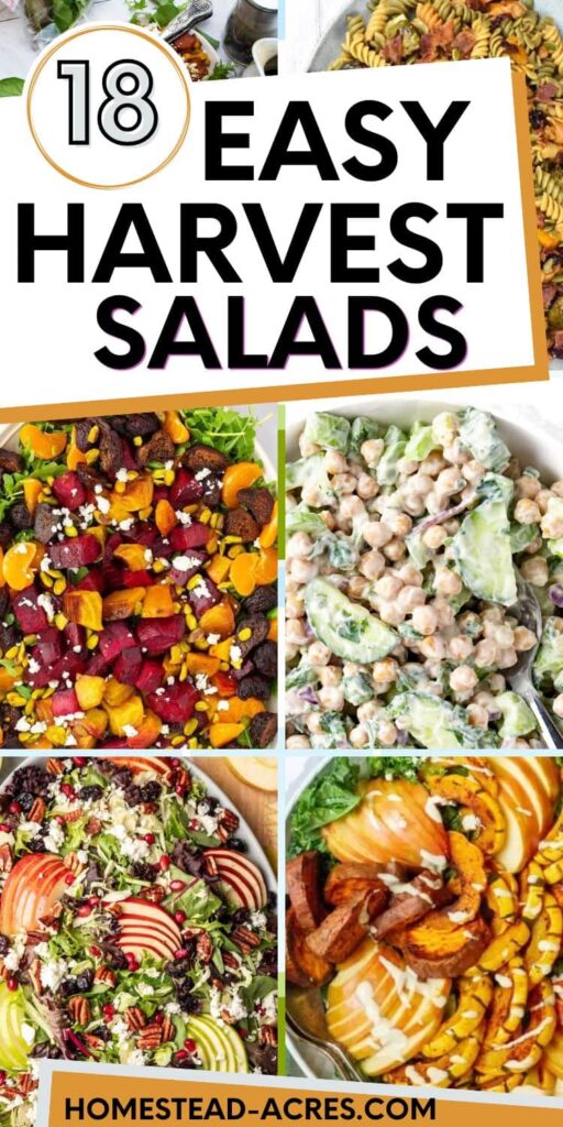 Collage image of fall salads. Text overlay says 18 Easy Harvest Salads.
