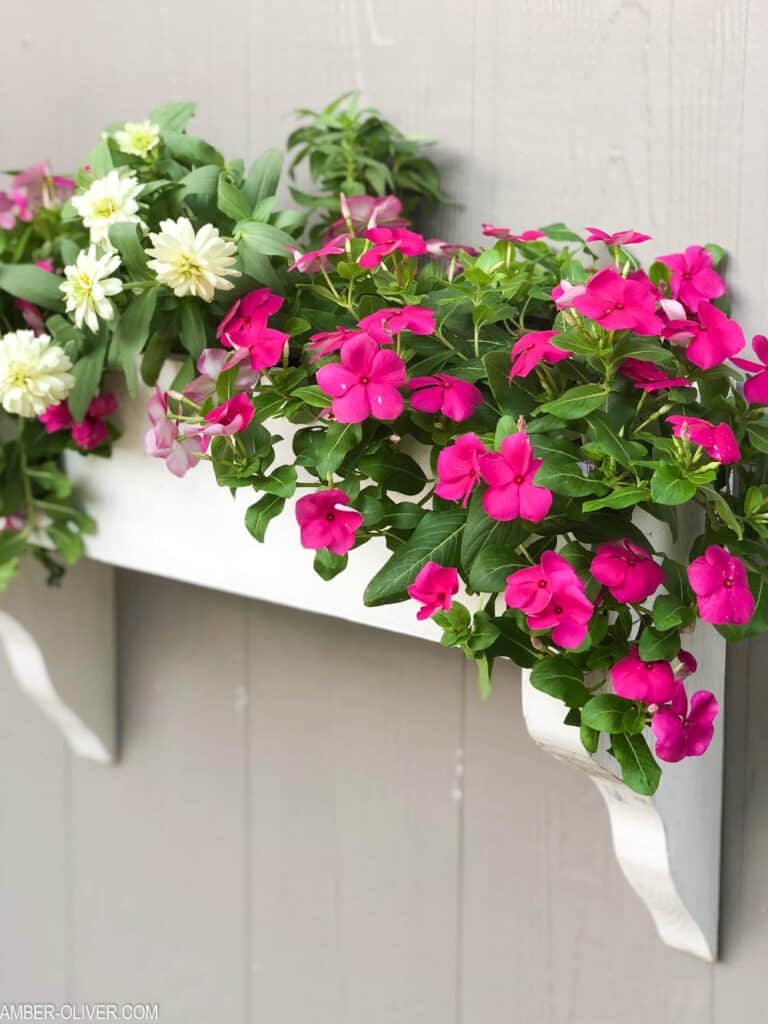 White homemade flower box hanging on a fence and planted with pink and white flowers.