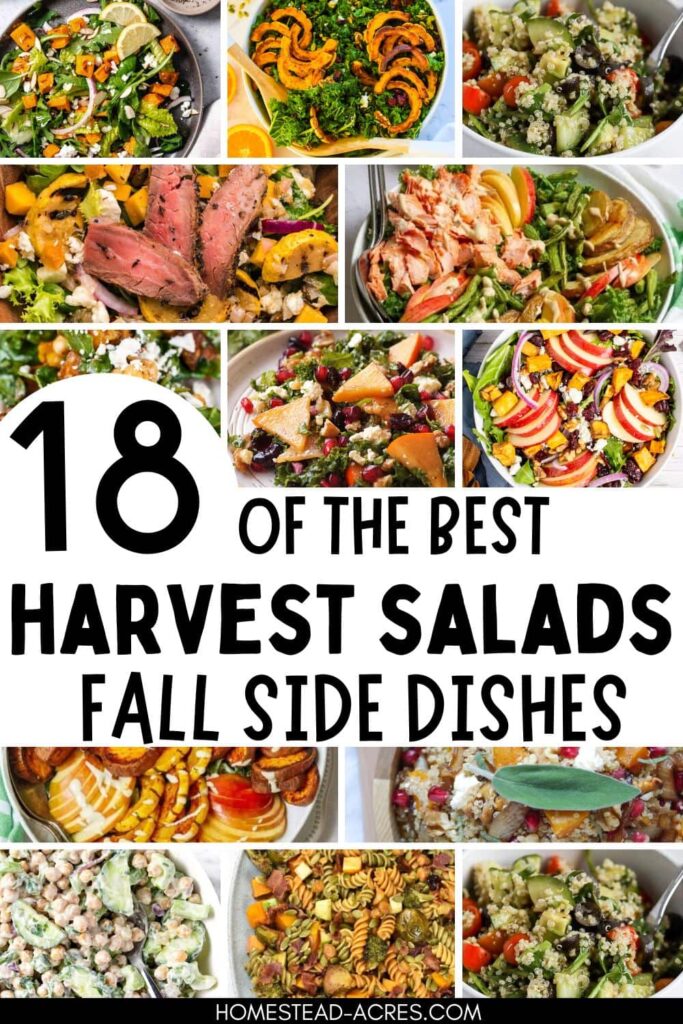 Collage image of Fall salads. Text overlay says 18 Of The Best Harvest Salads Fall Side Dishes.