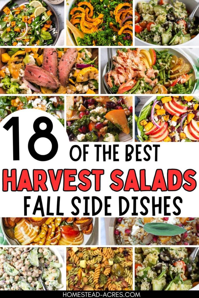 Collage image of fall salads. Text overlay says 18 Of The Best Harvest Salads Fall Side Dishes.