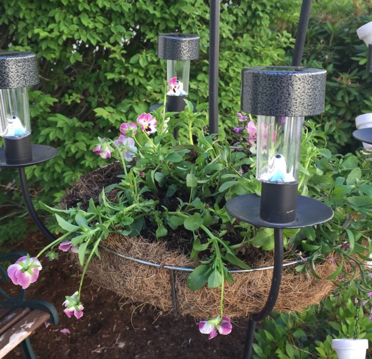 A chandelier painted black and turned into a planter with lights.