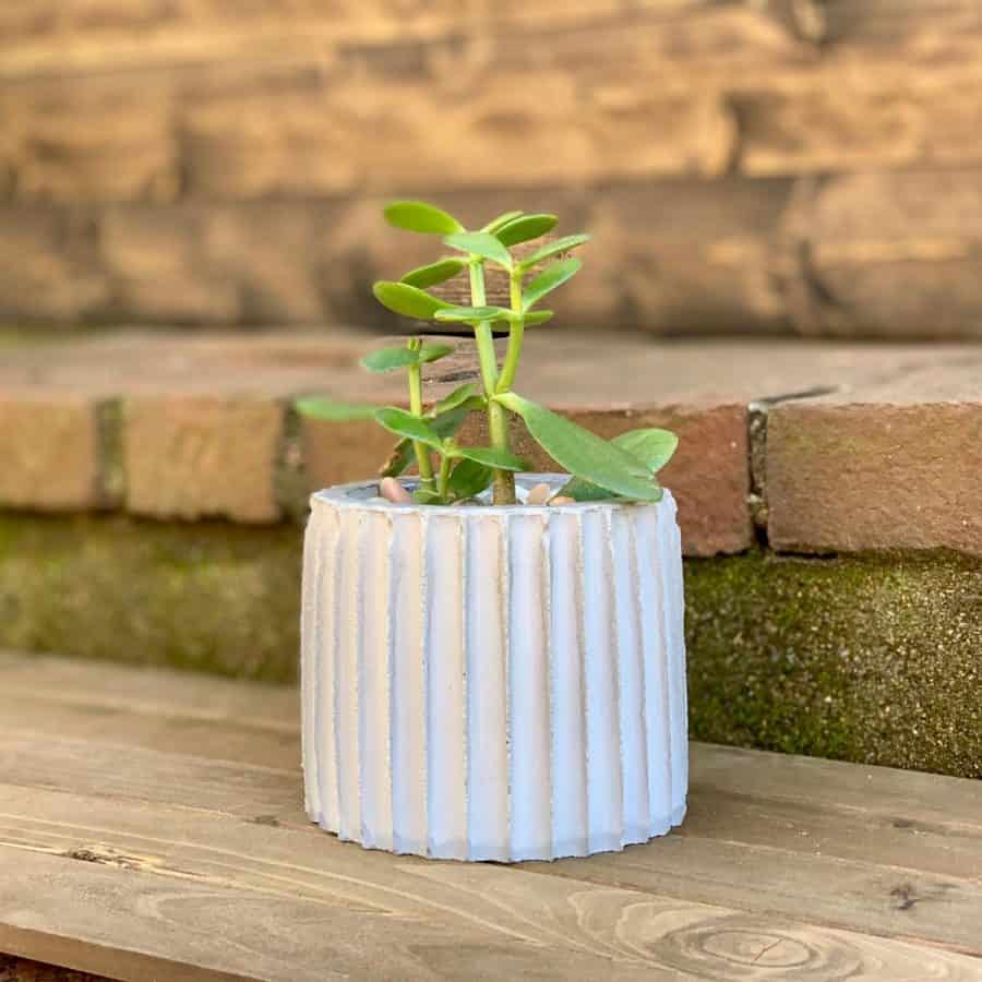 DIY white fluted concrete planter planted and sitting on steps.