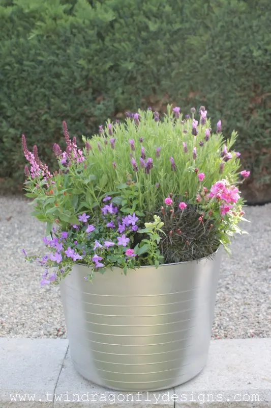 Plastic bucket painted to look like a galvanized bucket and planted with pink and purple flowers.