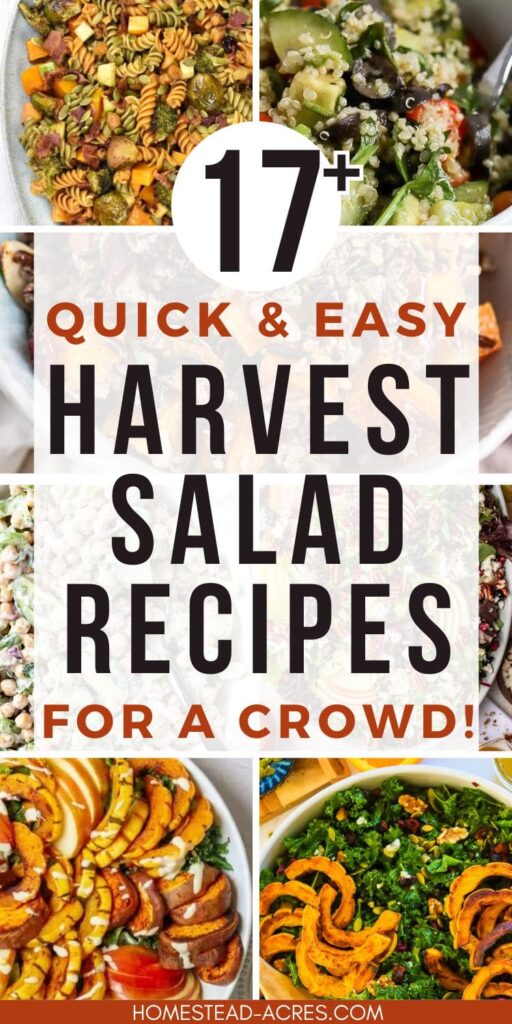 Collage image of Autumn salads. Text overlay says 17 Quick & Easy Harvest Salad Recipes For A Crowd!