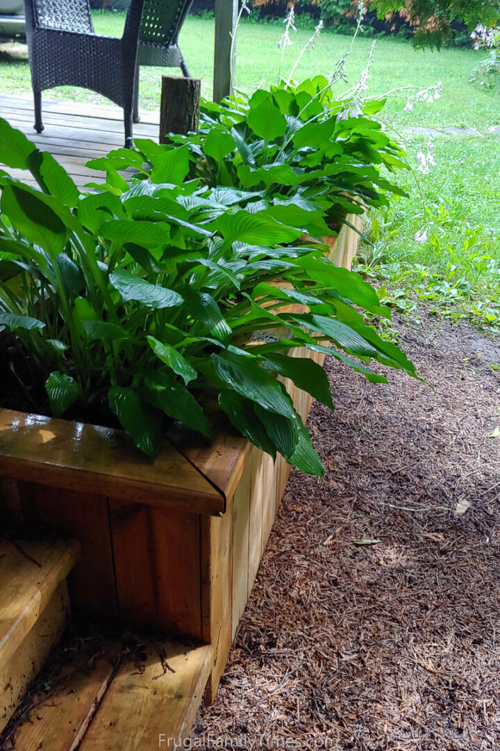Wooden planter box built around the edge of a deck and filled with plants.