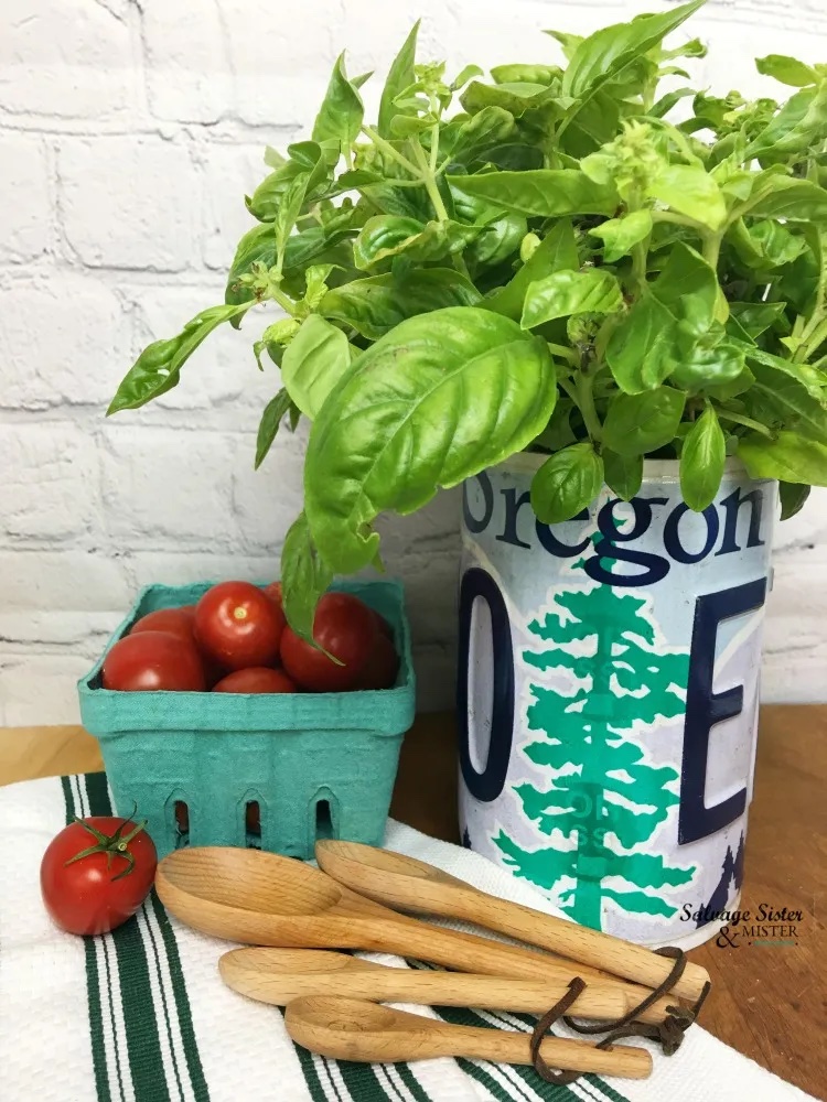 DIY licence plate planter filled with basil on a counter next to a basket of tomatoes.