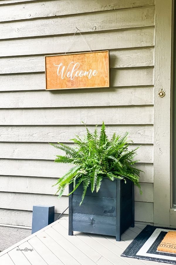 A square wooden planter painted black with a large green fern growing in it on the porch.