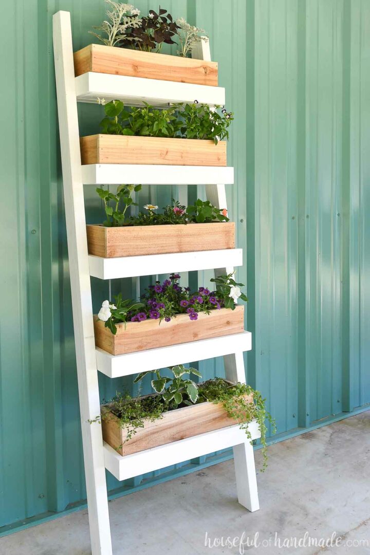 A wooden ladder planter painted white holding flower boxes next to a wall.