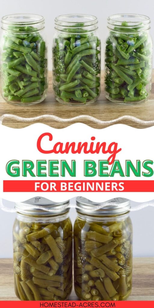 Collage image, top is 3 jars of raw green beans, bottom is 2 jars of canned green beans. Text overlay says Canning Green Beans For Beginners.