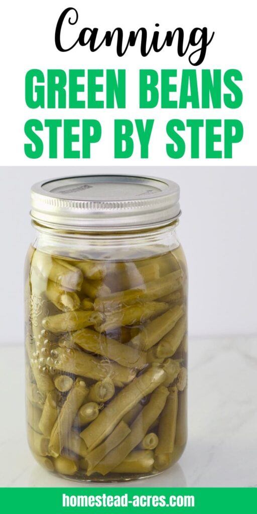 A quart jar of canned cut green beans. Text overlay says Canning Green Beans Step By Step.