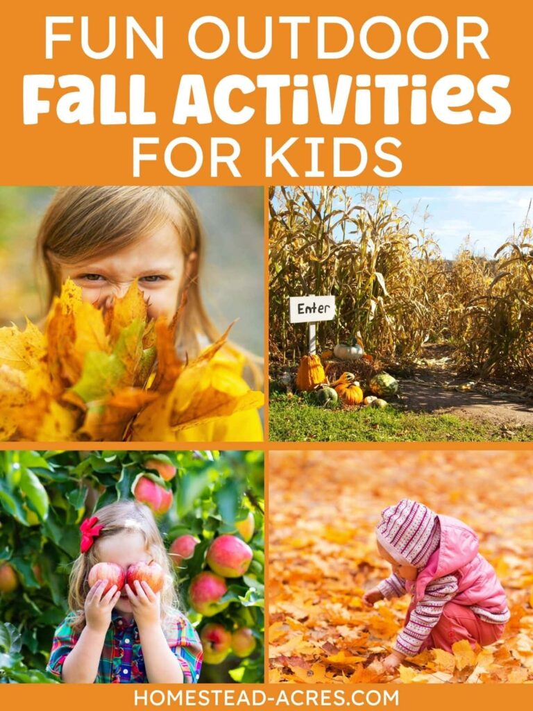 A collage image of kids playing in leaves, picking apples, and a corn maze. The text overlay says Fun Outdoor Fall Activities For Kids.