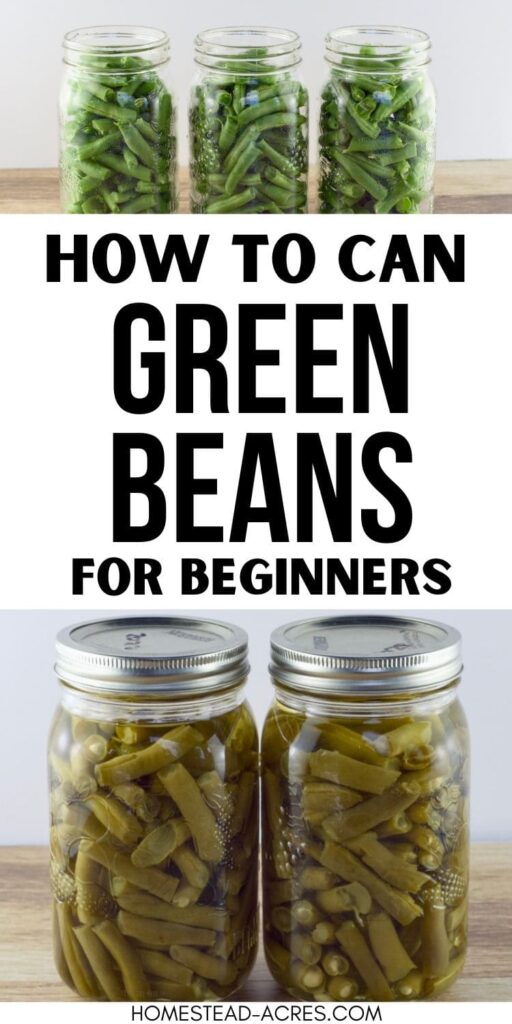 Collage image, top 3 jars filled with raw green bean pieces, bottom 2 jars of canned beans. Text overlay says How To Can Green Beans For Beginners.