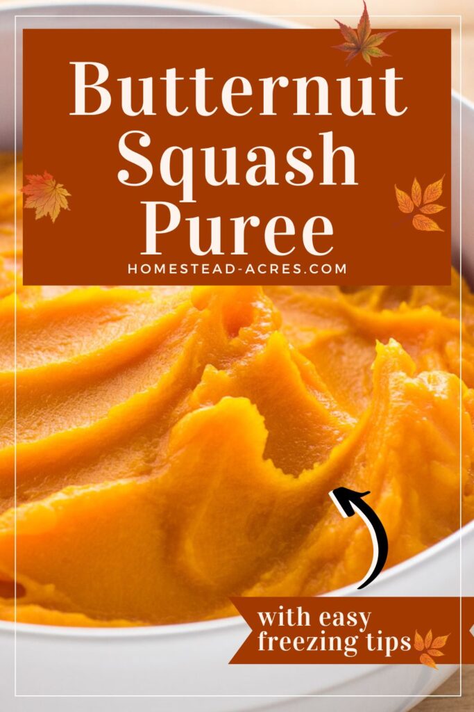 Bowl of squash puree. Text overlay says Butternut Squash Puree With Easy Freezing Tips!