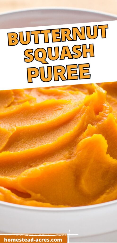 Bowl of homemade squash puree. Text overlay says Butternut Squash Puree.