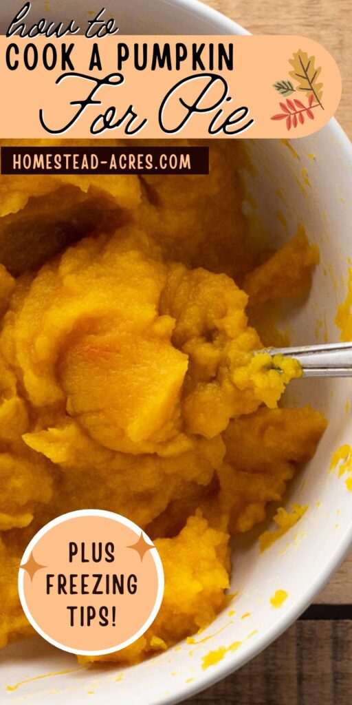 A white bowl filled with homemade pumpkin puree. Text overlay says How To Cook A Pumpkin For Pie. Plus Freezing Tips!