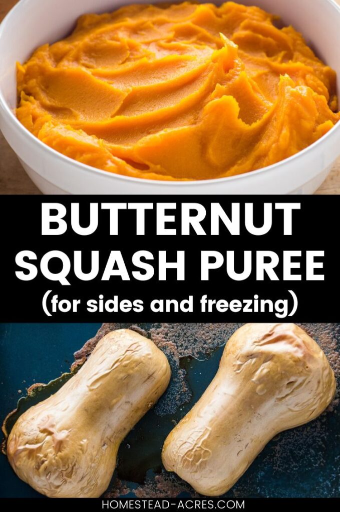 Collage image, top a bowl of squash puree, bottom butternut squash cut in half and baked on a baking tray. Text overlay says Butternut Squash Puree For Sides And Freezing.