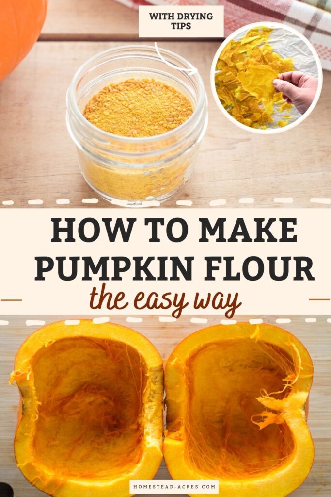Collage image, top a jar of powdered pumpkin and a hand holding dried pumpkin chips, bottom a pumpkin cut in half. Text overlay says How To Make Pumpkin Flour The Easy Way.