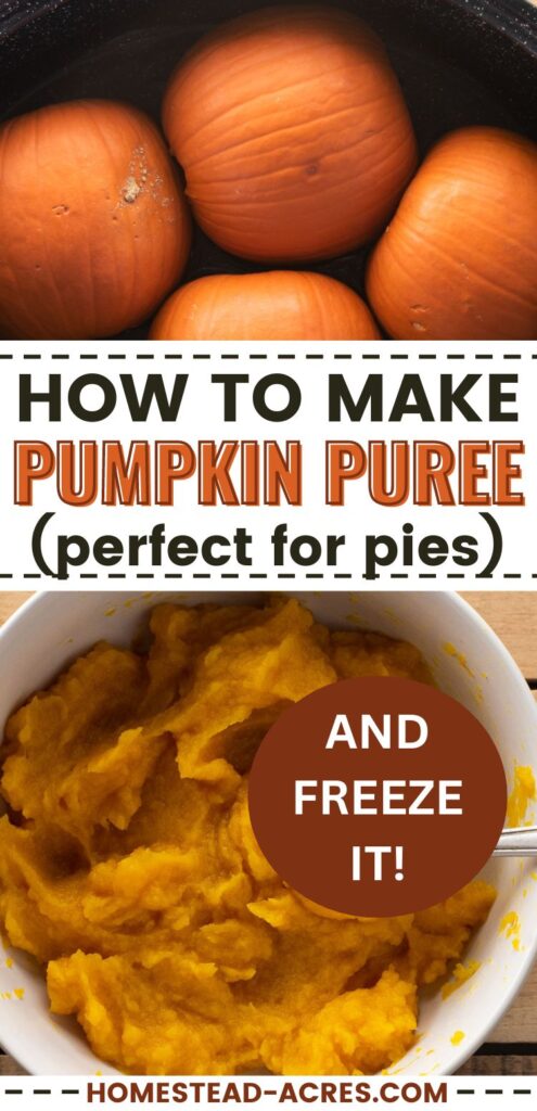 Collage image, top cooked pie pumpkins in a roasting pan, bottom a bowl of pumpkin puree. Text overlay says How To Make Pumpkin Puree Perfect For Pies And Freeze It!