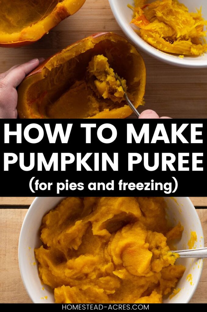 Collage image, top scooping cooked pumpkin out of the skin, bottom a bowl of homemade pumpkin puree. Text overlay says How To Make Pumpkin Puree For Pies And Freezing.