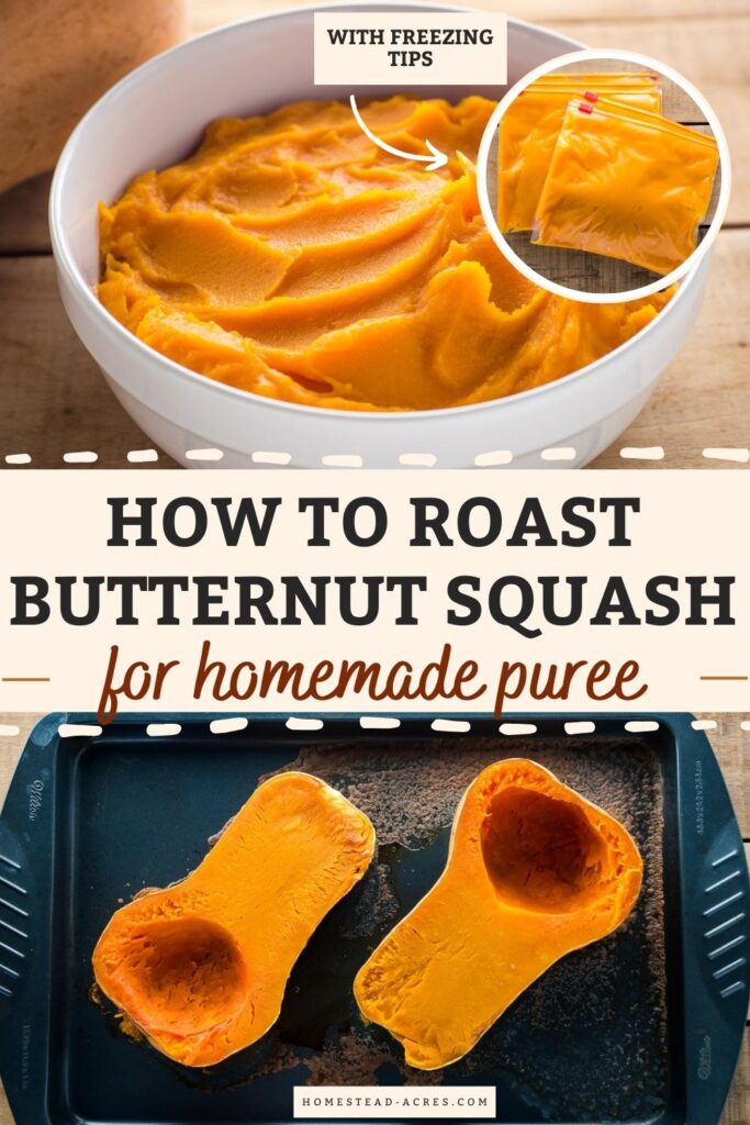 Collage image, top a bowl of squash puree and freezer bags, bottom roasted squash on a baking pan. Text overlay says How To Roast Butternut Squash For Homemade Puree.