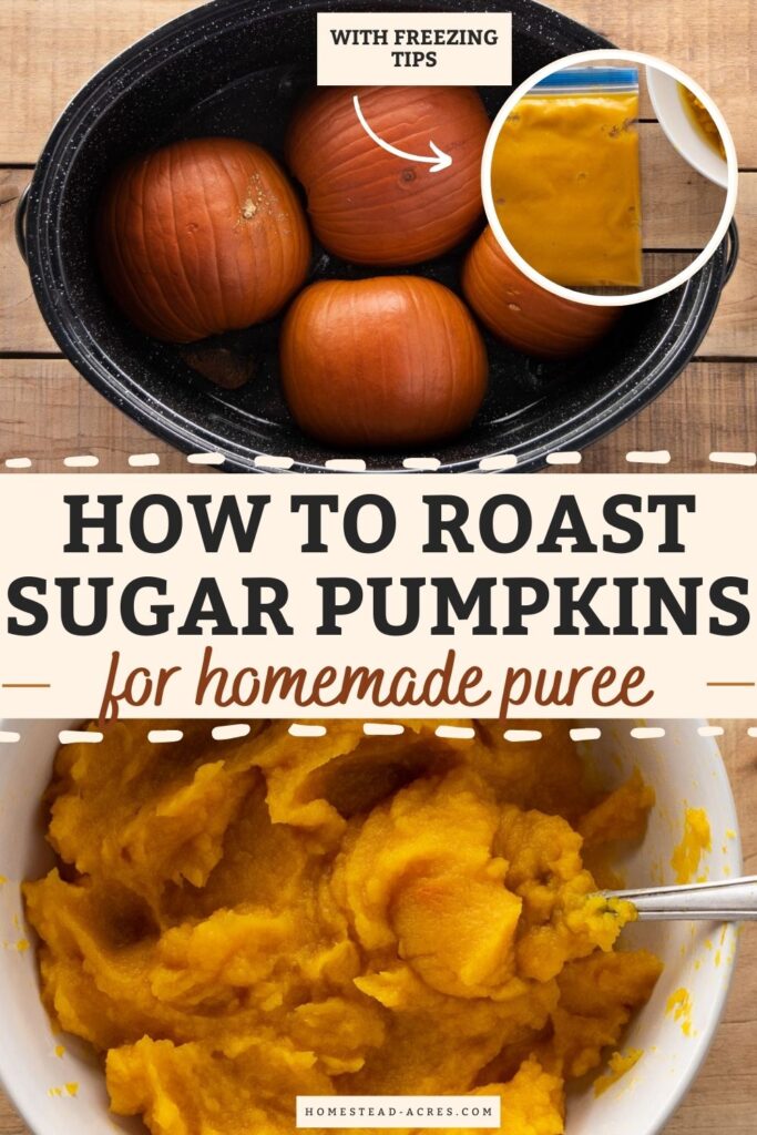 Collage image, top pumpkins in a roasting pan and a bag of pumpkin puree, bottom a bowl of homemade pumpkin puree. Text overlay says How To Roast Sugar Pumpkins For Homemade Puree.