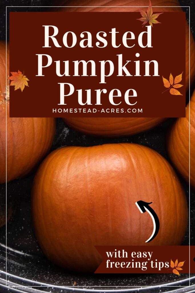 Roasted sugar pie pumpkins upside down in a roasting pan. Text overlay says Roasted Pumpkin Puree With Easy Freezing Tips.