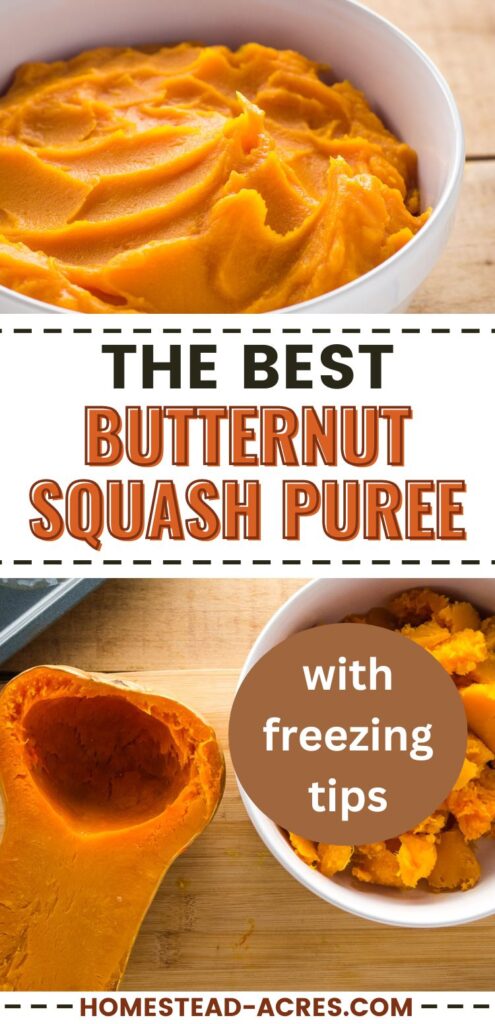 Collage image, top a bowl of pureed butternut squash, bottom a cooked squash on a cutting board next to a bowl of squash. Text overlay says The Best Butternut Squash PUree With Freezing Tips.