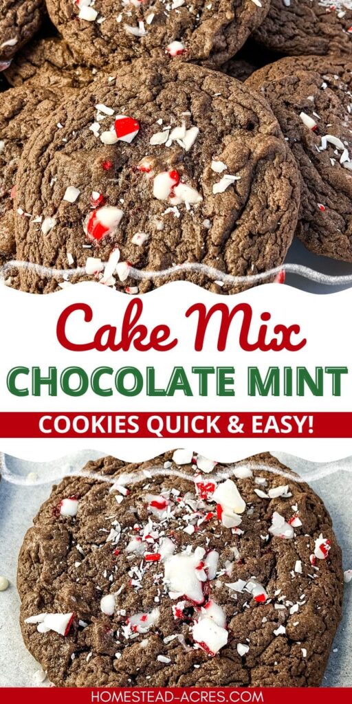 Collage image top and bottom are chocolate cookies with crushed candy canes on top. Text overlay says Cake Mix Chocolate Mint Cookies Quick & Easy.