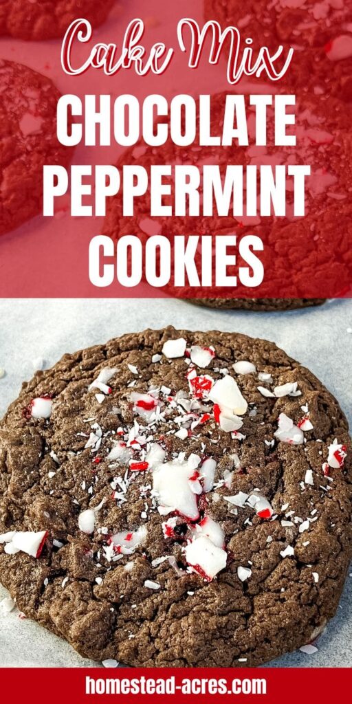 A chocolate fudge cookie with crushed candy canes on top. Text overlay says Cake Mix Chocolate Peppermint Cookies.