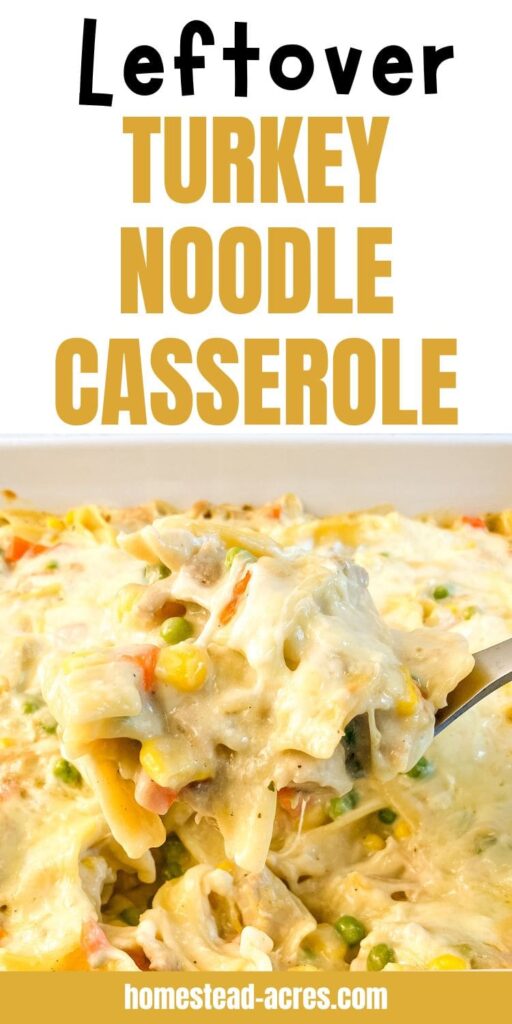 A serving spoon of turkey and noodle casserole. Text overlay says Leftover Turkey Noodle Casserole.