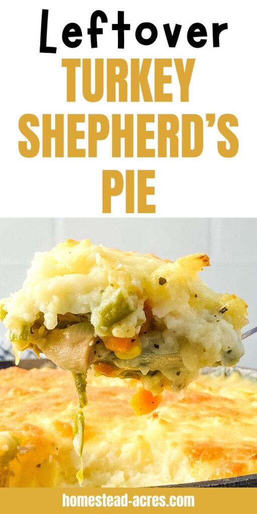 Serving spoon of turkey shepherd's pie. Text overlay says Leftover Turkey Shepherd's Pie.