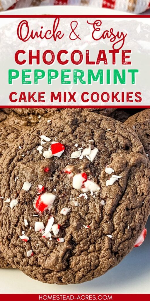 Chocolate mint cookie with crushed peppermint candy on top. Text overlay says Quick & Easy Chocolate Peppermint Cake Mix Cookies.