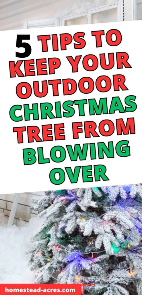 Christmas tree outside next to a house and covered in snow. Text overlay says 5 Tips To Keep Your Outdoor Christmas Tree From Blowing Over.