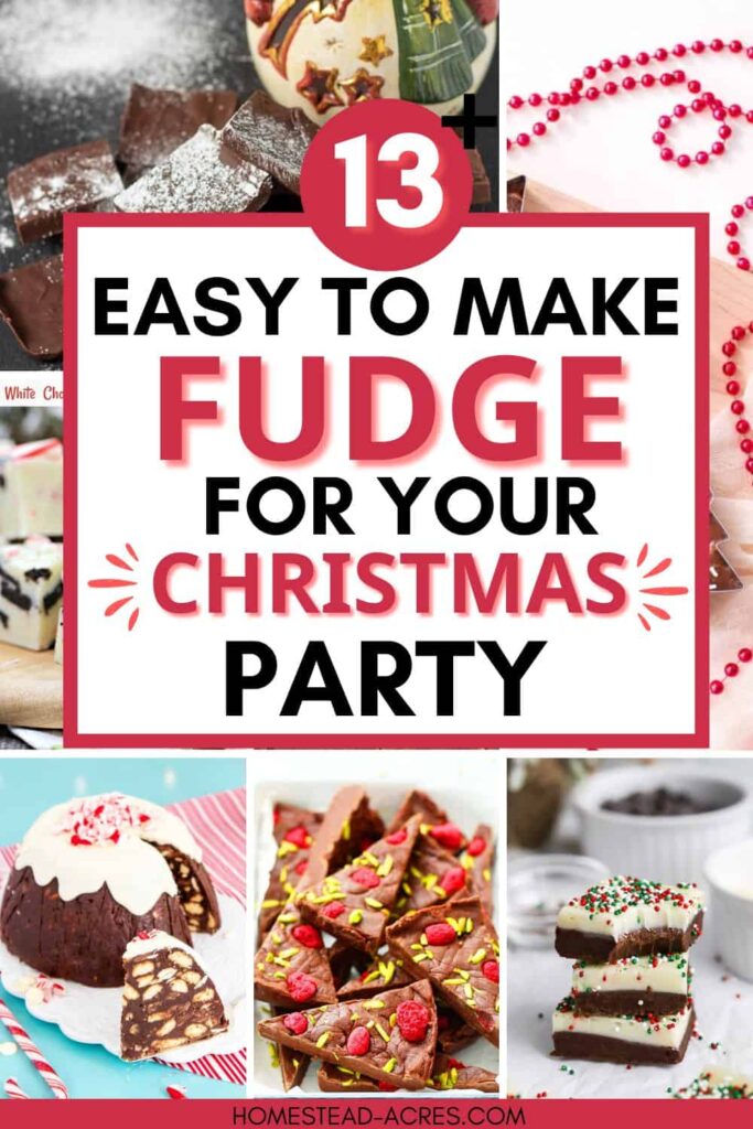 Collage image of fudge squares. Text overlay says 13 Easy To Make Fudge For Your Christmas Party.