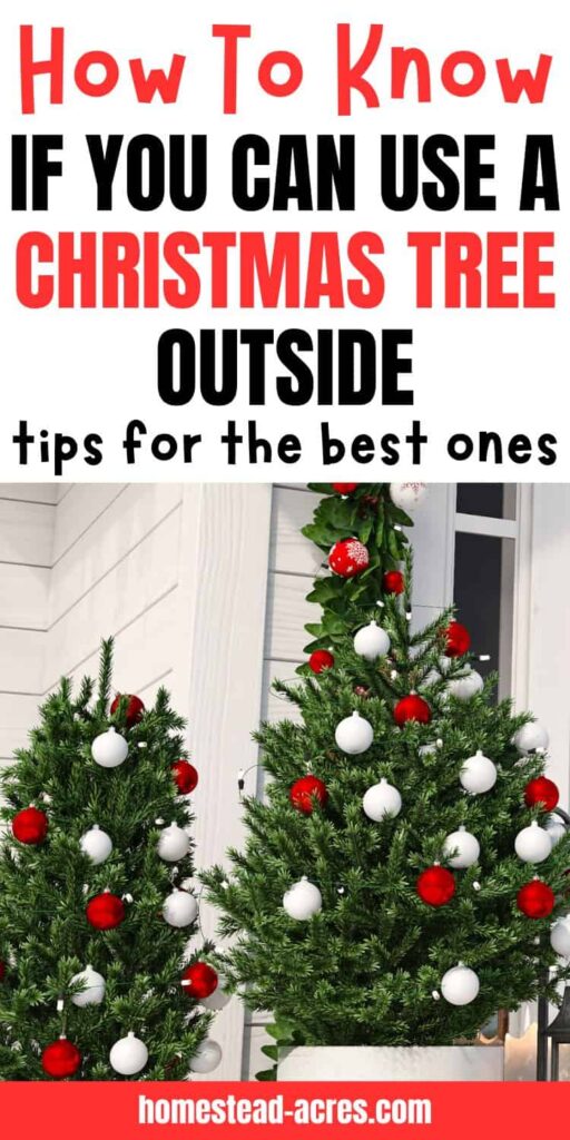 Two artificial Christmas trees on a porch. Text overlay say How To Know If You Can Use A Christmas Tree Outside Tips For The Best Ones.