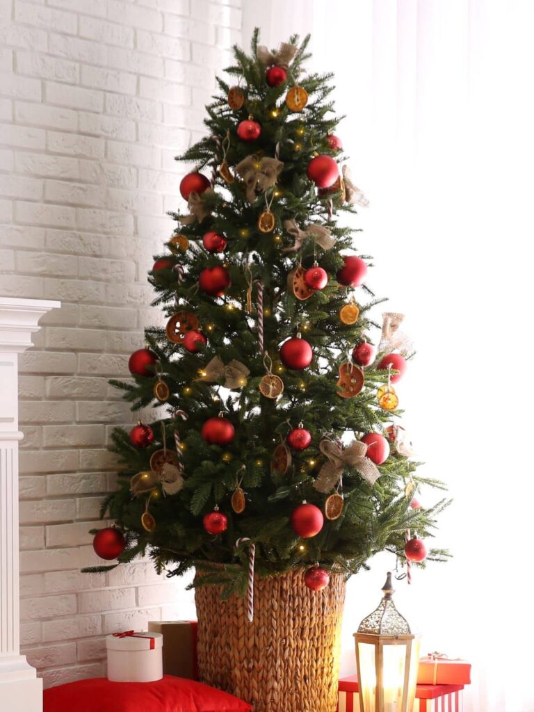 Real Christmas tree in a corner. Tips for making your Christmas tree last longer through the holiday season.