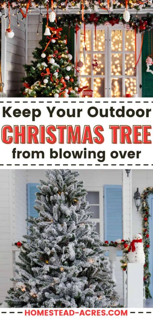 Collage image of Christmas trees outside. Text overlay says Keep Your Outdoor Christmas Tree From Blowing Over.