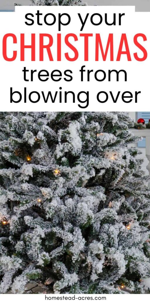 Christmas tree outside covered in snow. Text overlay says Stop Your Christmas Trees From Blowing Over.