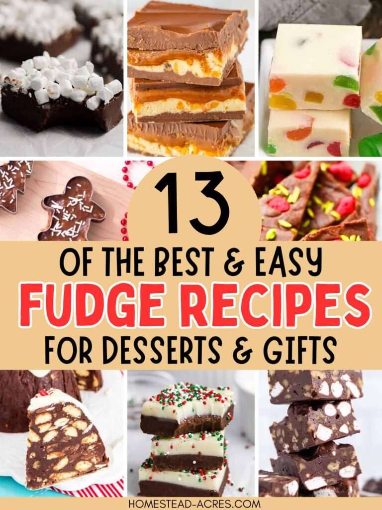 Collage image of fudge squares. Text overlay says 13 Of The Best & Easy Fudge Recipes For Desserts & Gifts.