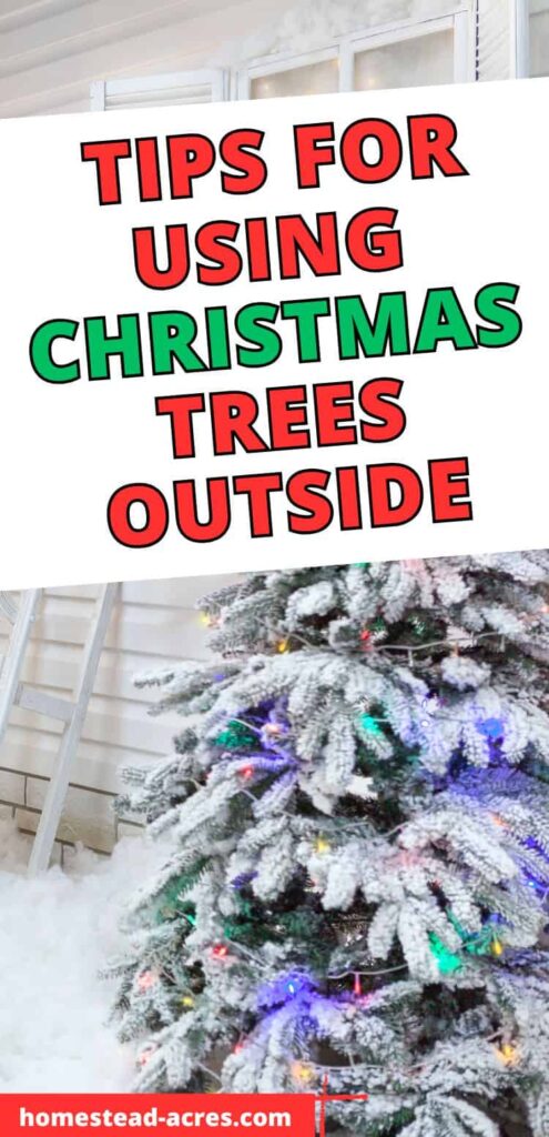 Christmas tree against the side of a house. Text overlay says Tips For Using Christmas Trees Outside.