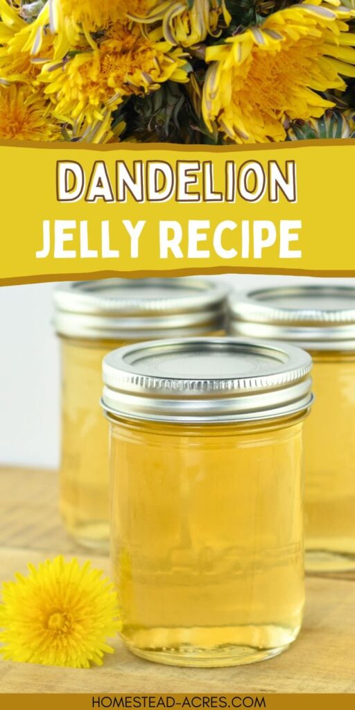 A jar of dandelion jelly sits on a wooden surface next to a bright yellow dandelion flower. The text overlay says Dandelion Jelly Recipe.