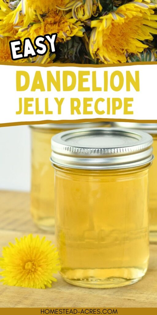 A collection of jars filled with golden dandelion jelly is displayed alongside fresh dandelion flowers. The text overlay says Easy Dandelion Jelly Recipe.