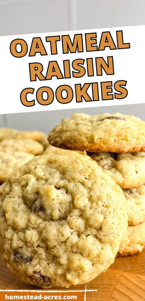 A stack of oatmeal raisin cookies with one cookie leaning against it. The text overlay says Oatmeal Raisin Cookies.