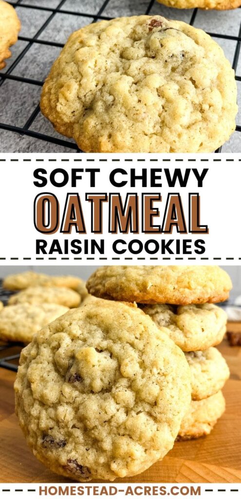 Collage image, top a cookie on a cooling rack, bottom a stack of homemade cookies. Text overlay says Soft Chewy Oatmeal Raisin Cookies.