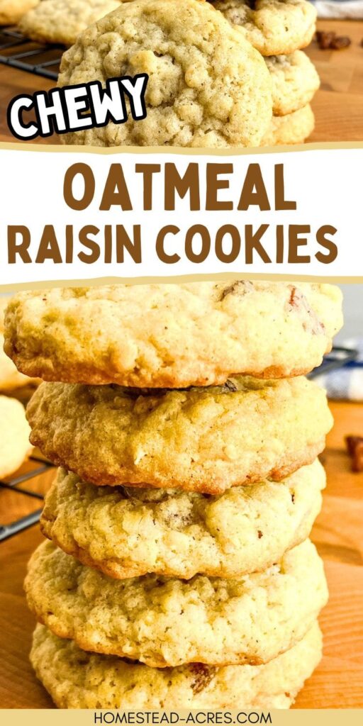 Collage image, top a small stack of cookies next to a cooling rack, bottom a larger stack of cookies. Text overlay says Chewy Oatmeal Raisin Cookies.