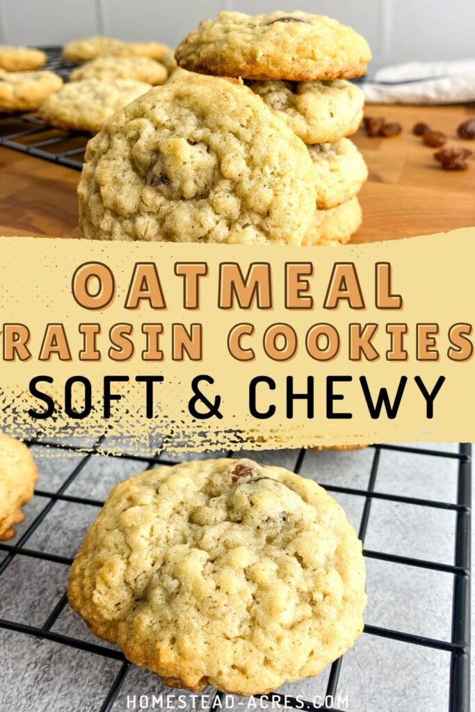 Collage image, top a stack of cookies on a wooden cutting board, bottom cookie on a cooling rack. The text overlay says Oatmeal Raisin Cookies Soft & Chewy.
