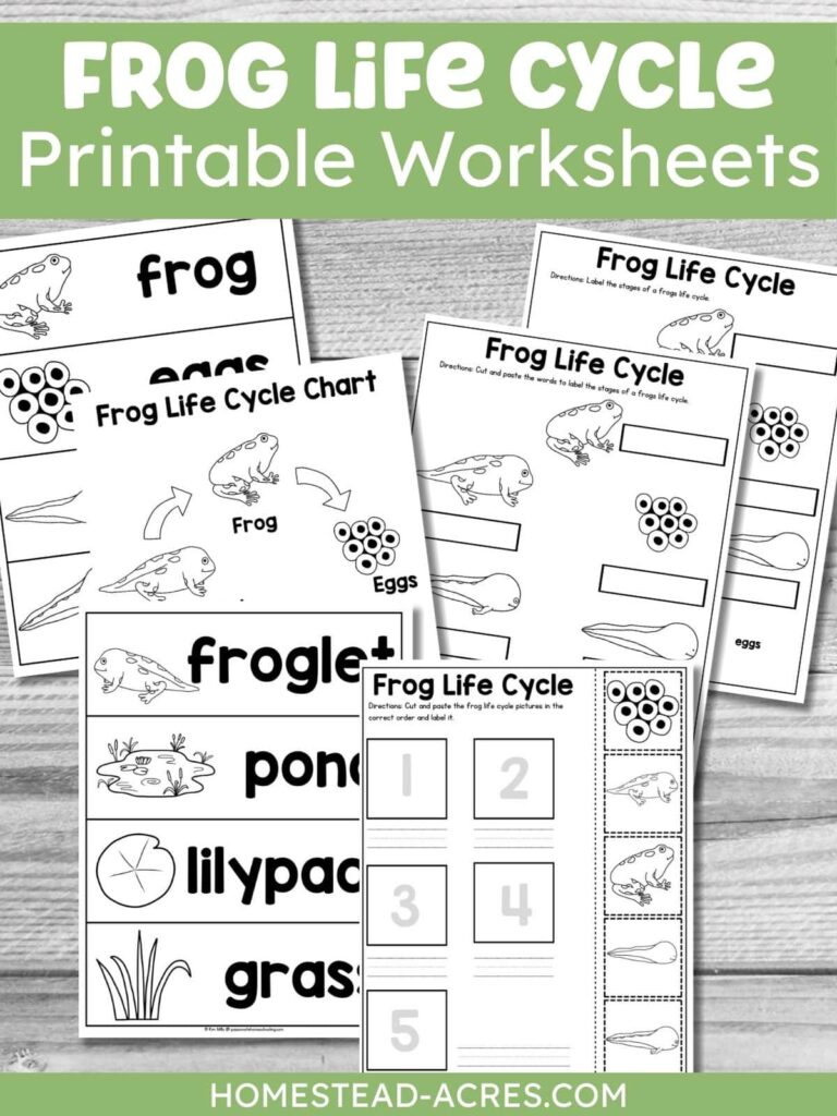A collage image of frog worksheets. The text overlay says Frog Life Cycle Printable Worksheets.