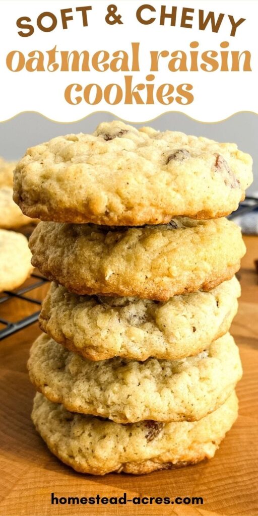A stack of 5 homemade cookies next to a wire cooling rack. The text overlay says Soft & Chewy Oatmeal Raisin Cookies.