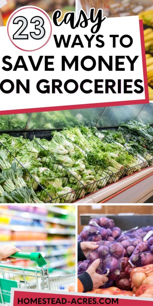 A graphic featuring the text "23 Easy Ways to Save Money on Groceries" alongside images of fresh produce, a shopping cart, and bags of onions, emphasizing grocery savings tips and budget friendly ideas.