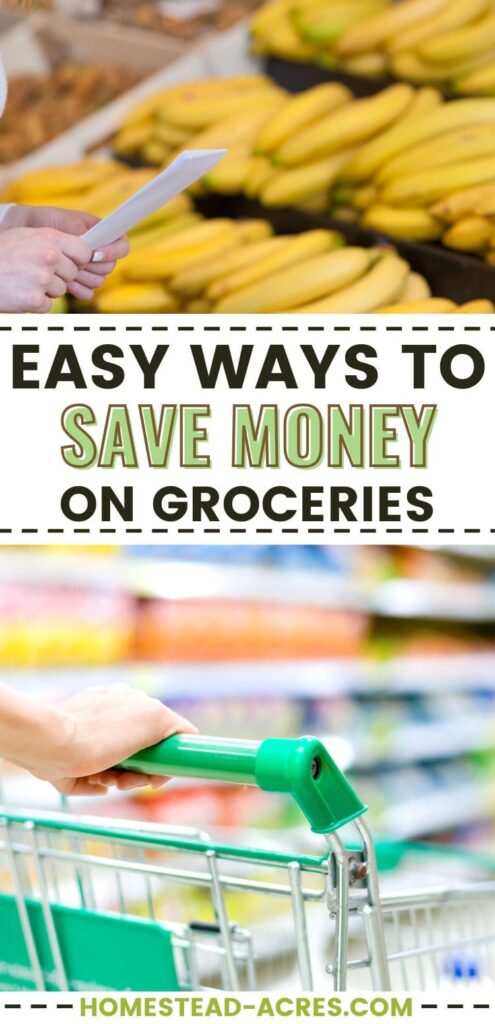 Collage image, a shopper checking a grocery list in front of fresh bananas. A person pushes a grocery cart, ready to save money on food. The text overlay says Easy Ways To Save Money On Groceries.